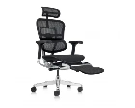 Кресло руководителя Ergohuman Elite 2 HAM с подставкой для ног Сетка, Черный images