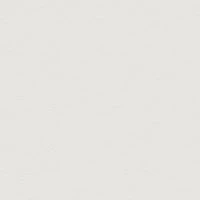 P2 EUROLINE 920 (ультра белый)