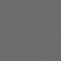 P2 EUROLINE 996 железно-серый